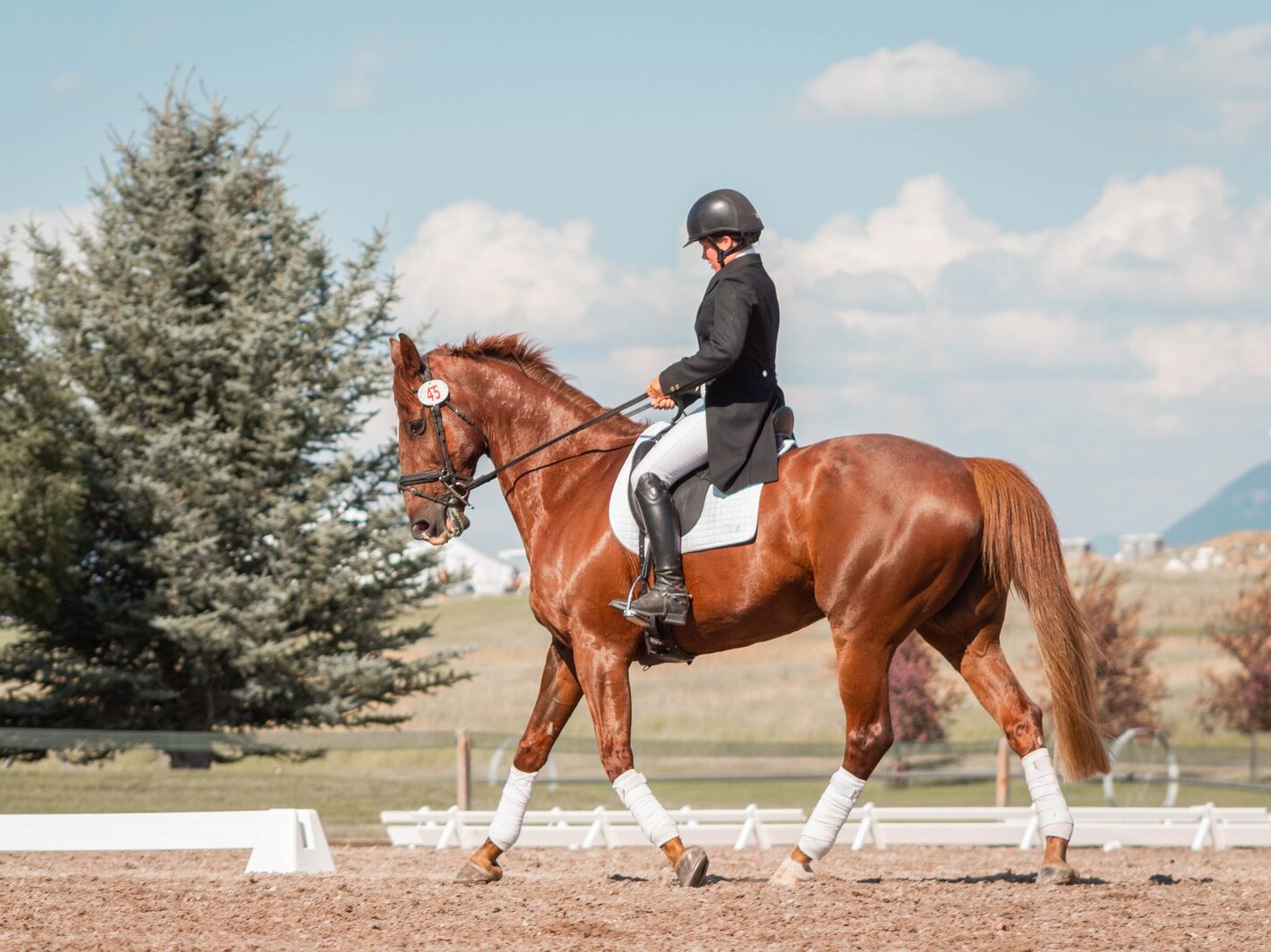 man in black helmet riding brown horse during daytime