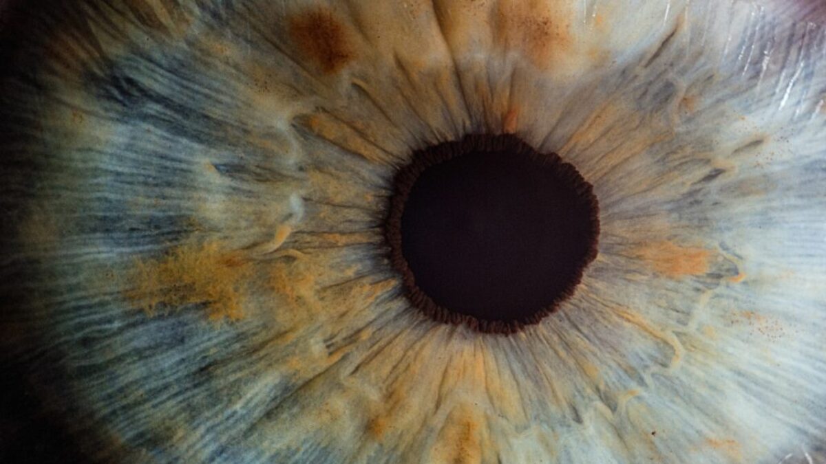 macro photography of human eye