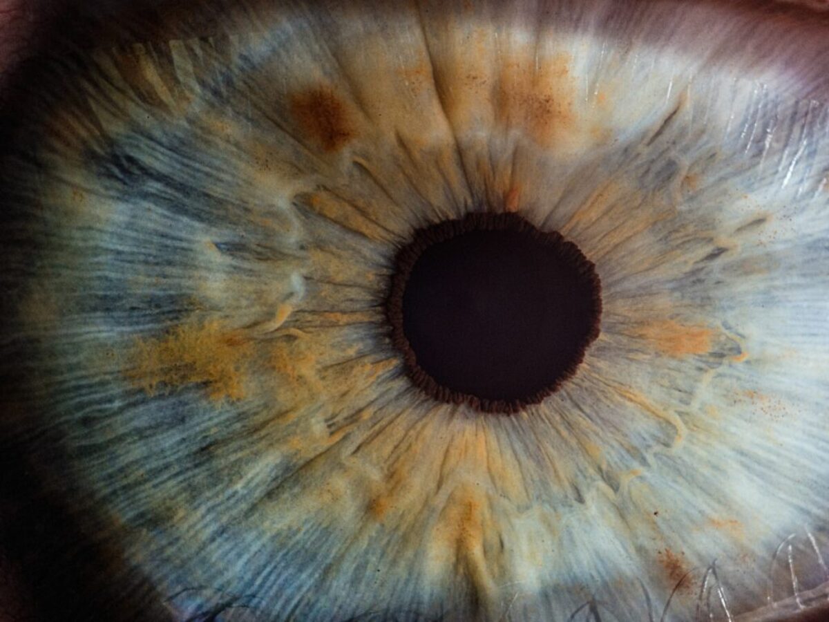 macro photography of human eye