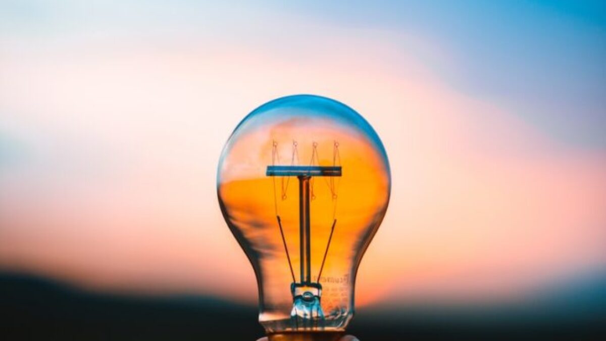 person holding bulb