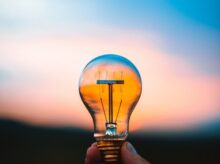 person holding bulb