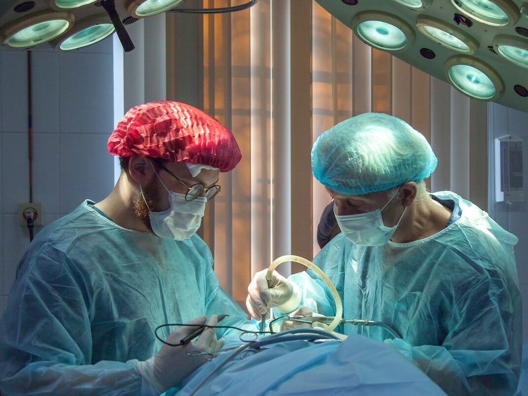 operace lékaři transplantace