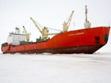 red and white ship on sea during daytime