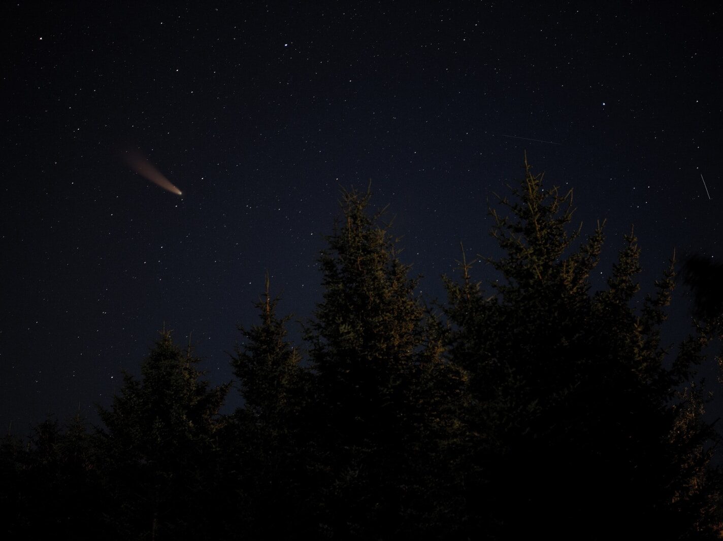 green trees under blue sky during night time
