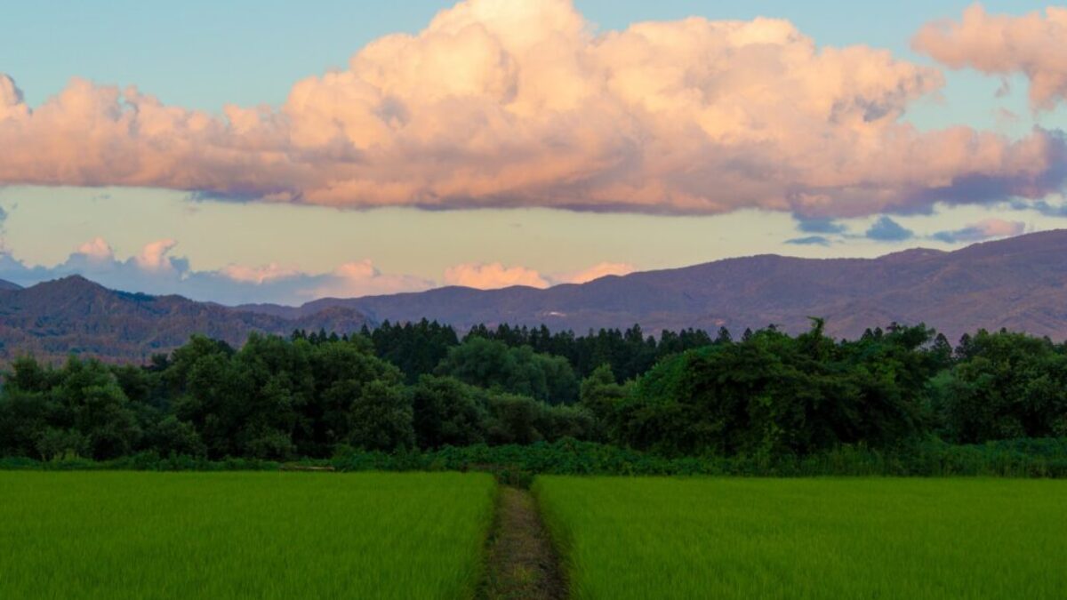 green grass field under blue sky and white clouds during daytime
