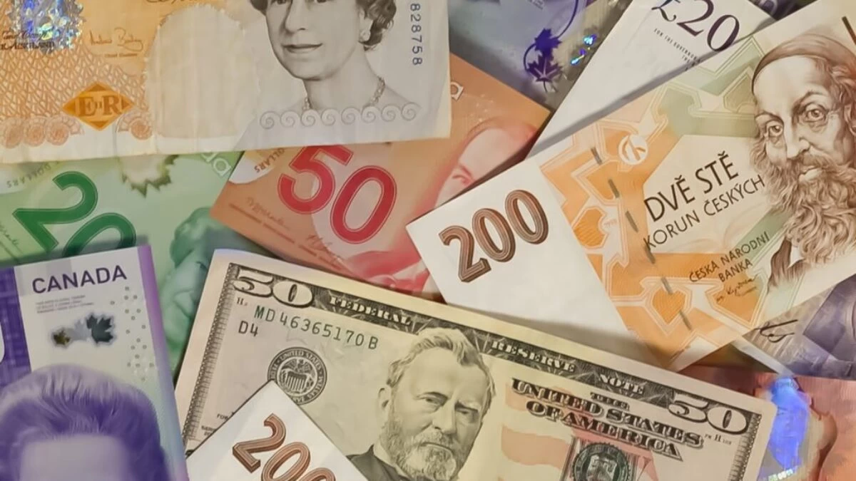 10 and 20 us dollar bill