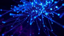 purple and blue light digital wallpaper