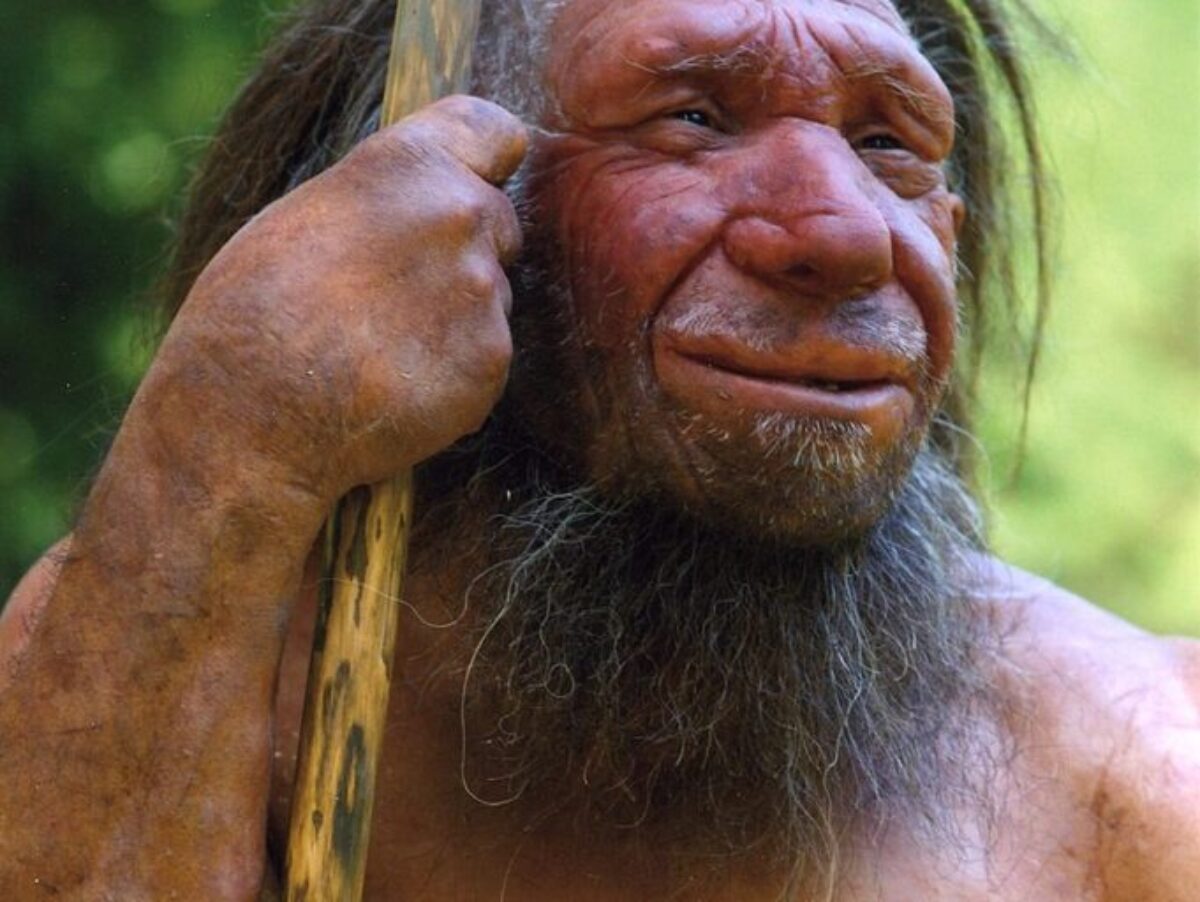 Neanderthal-Museum