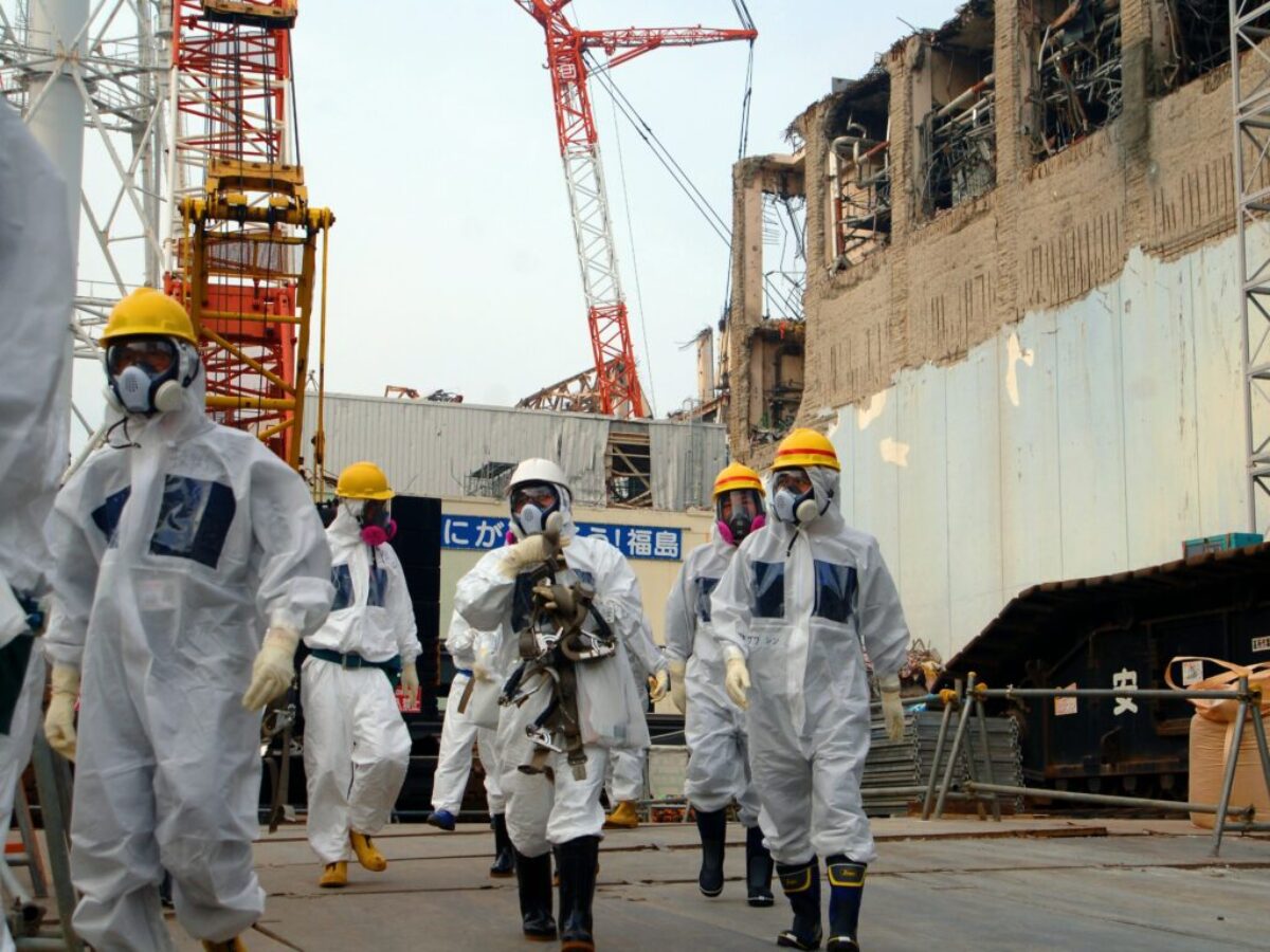 IAEA Imagebank