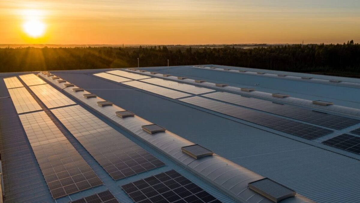 black and white solar panels
