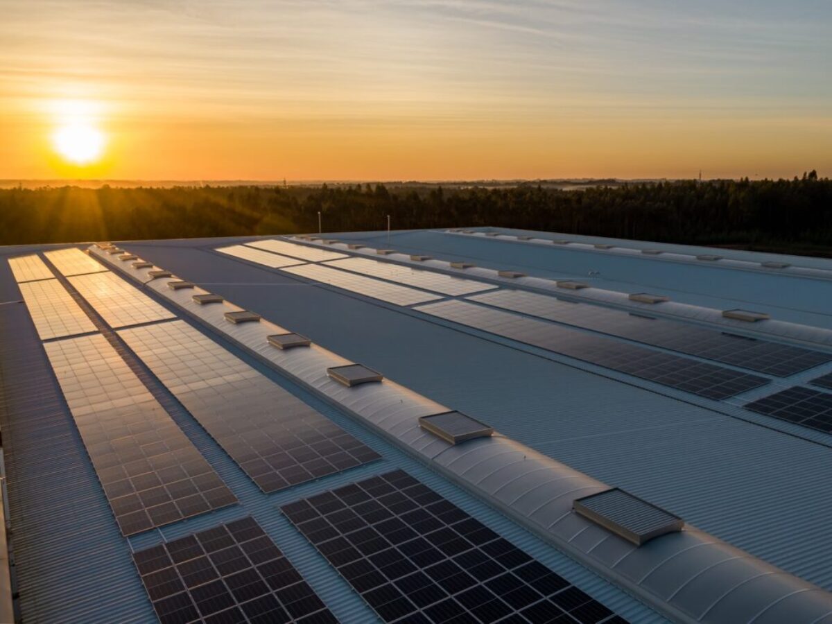 black and white solar panels