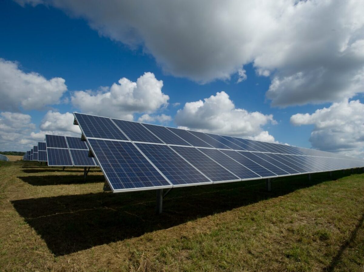 solar panels on green field