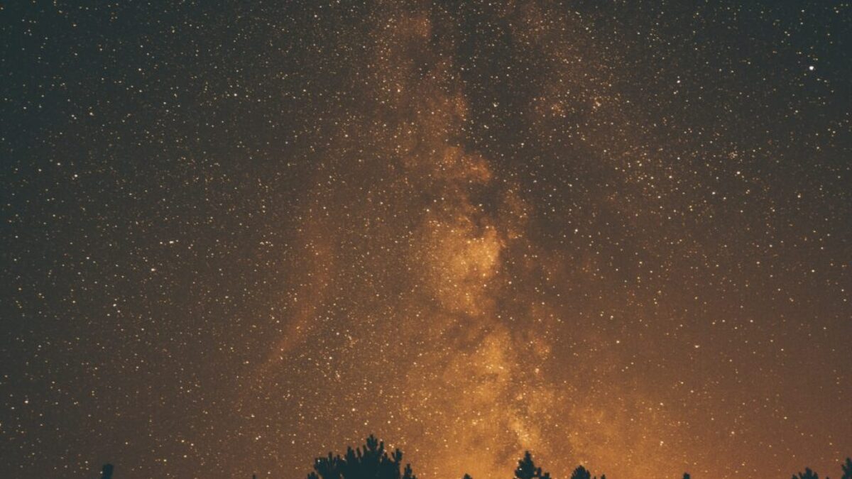 silhouette photography of trees and sky