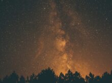 silhouette photography of trees and sky