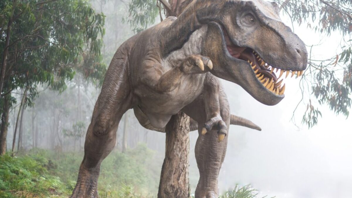 brown dinosaur illustration