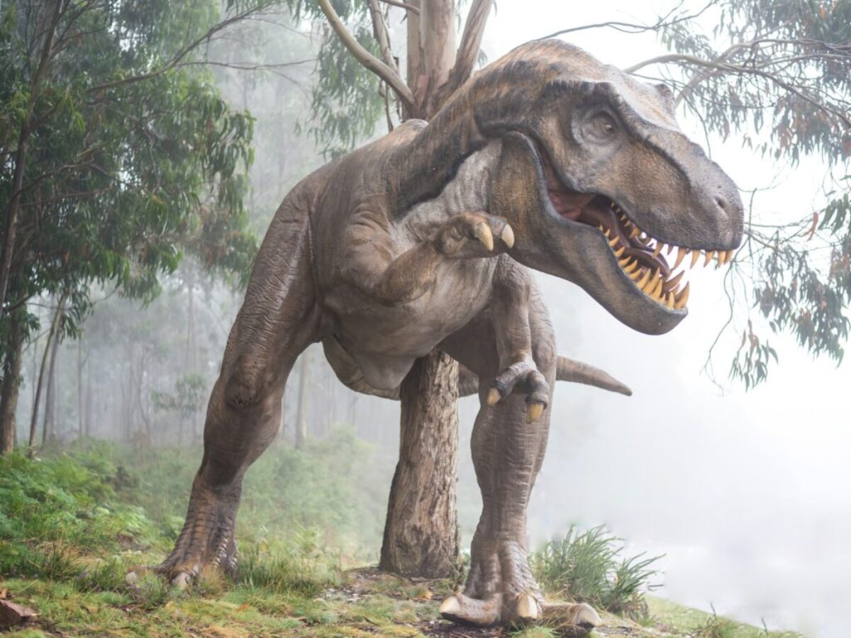 brown dinosaur illustration