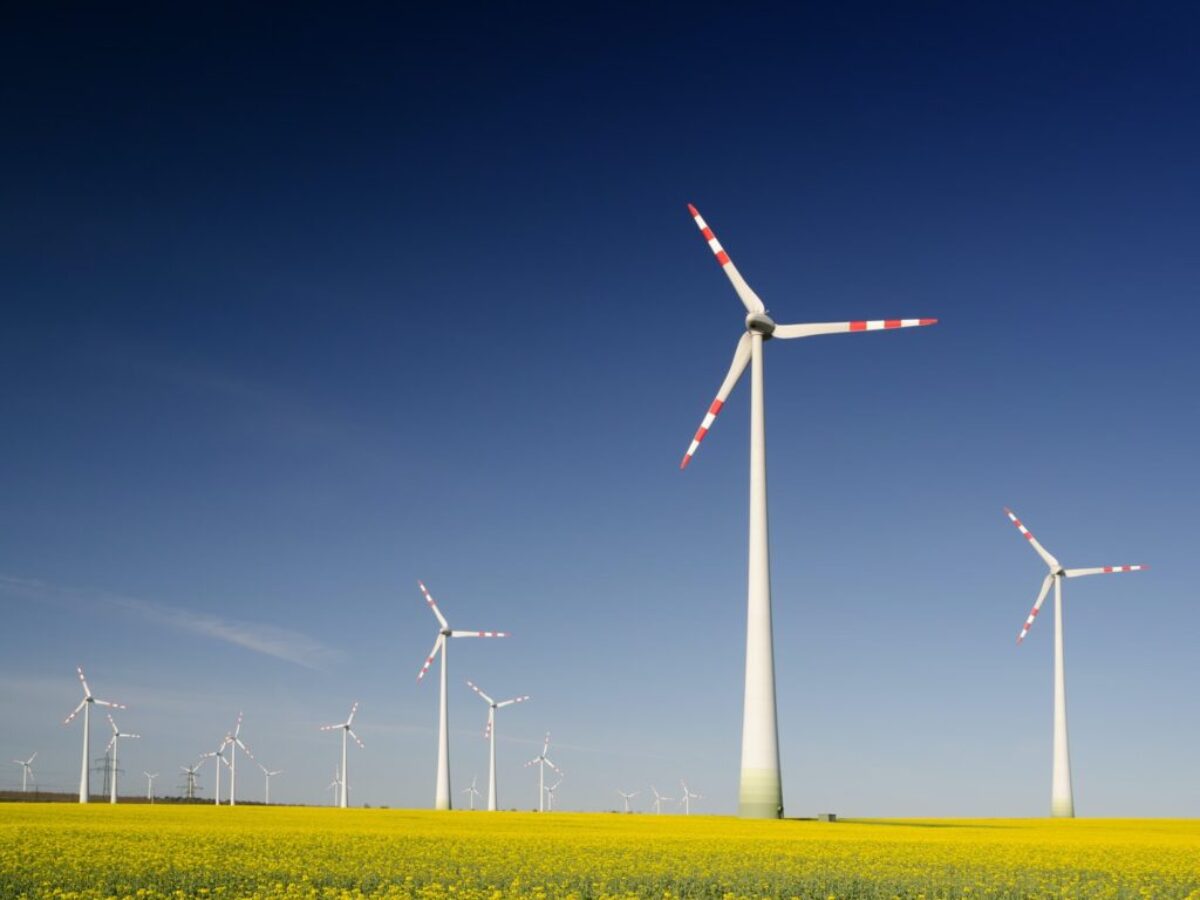 windmills on grass field at daytime