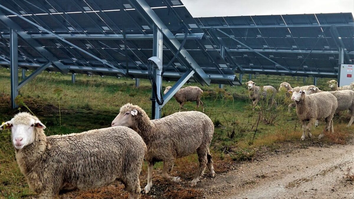 AgriSolar Clearinghouse Inc.