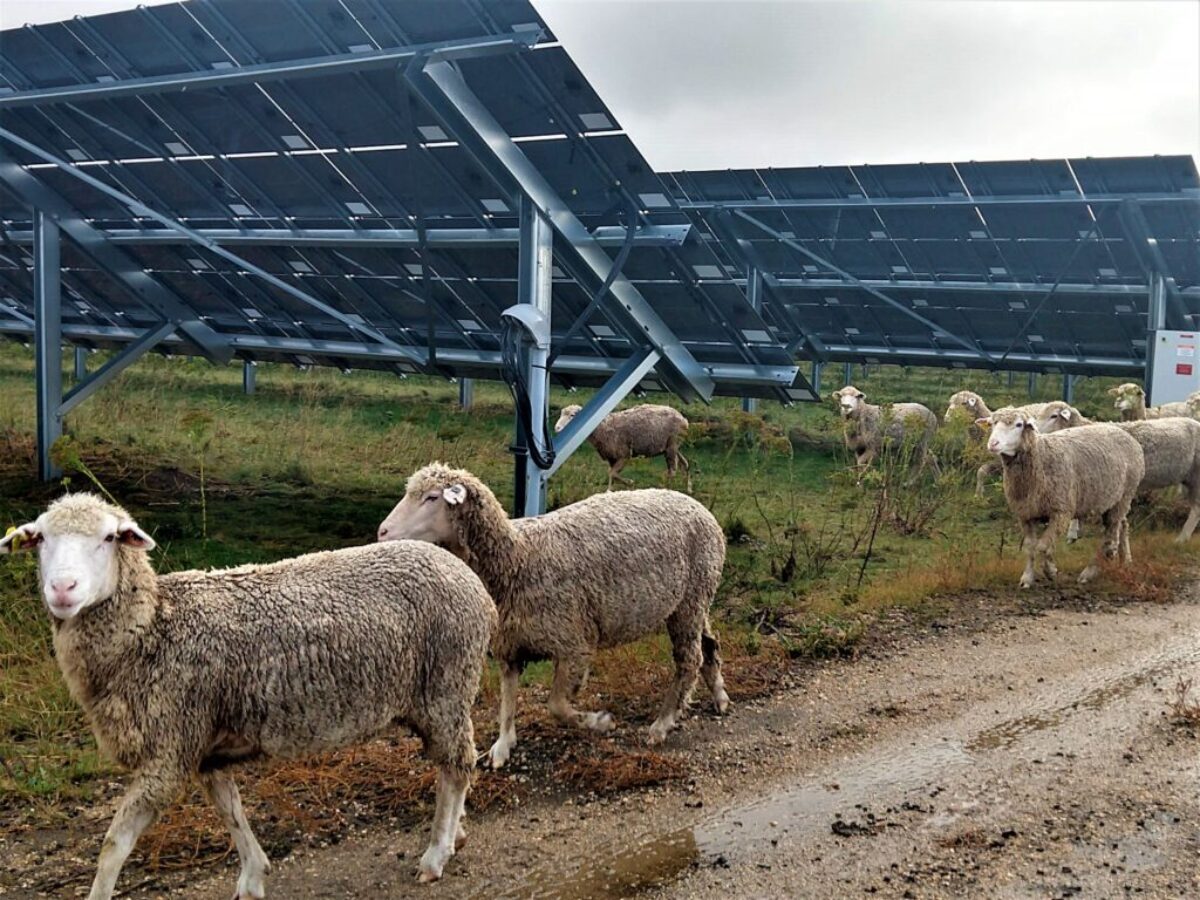 AgriSolar Clearinghouse Inc.