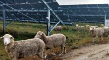 AgriSolar Clearinghouse Inc.