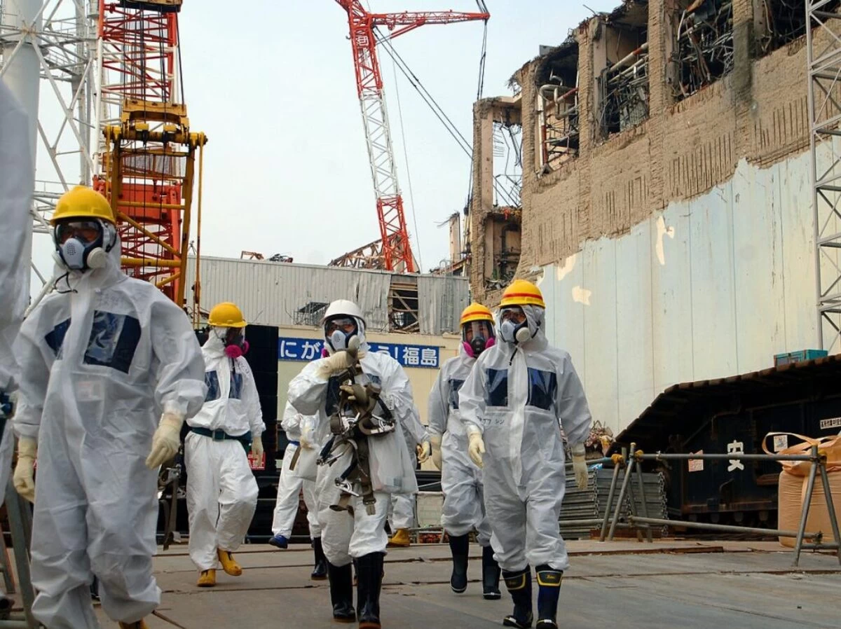 IAEA Imagebank