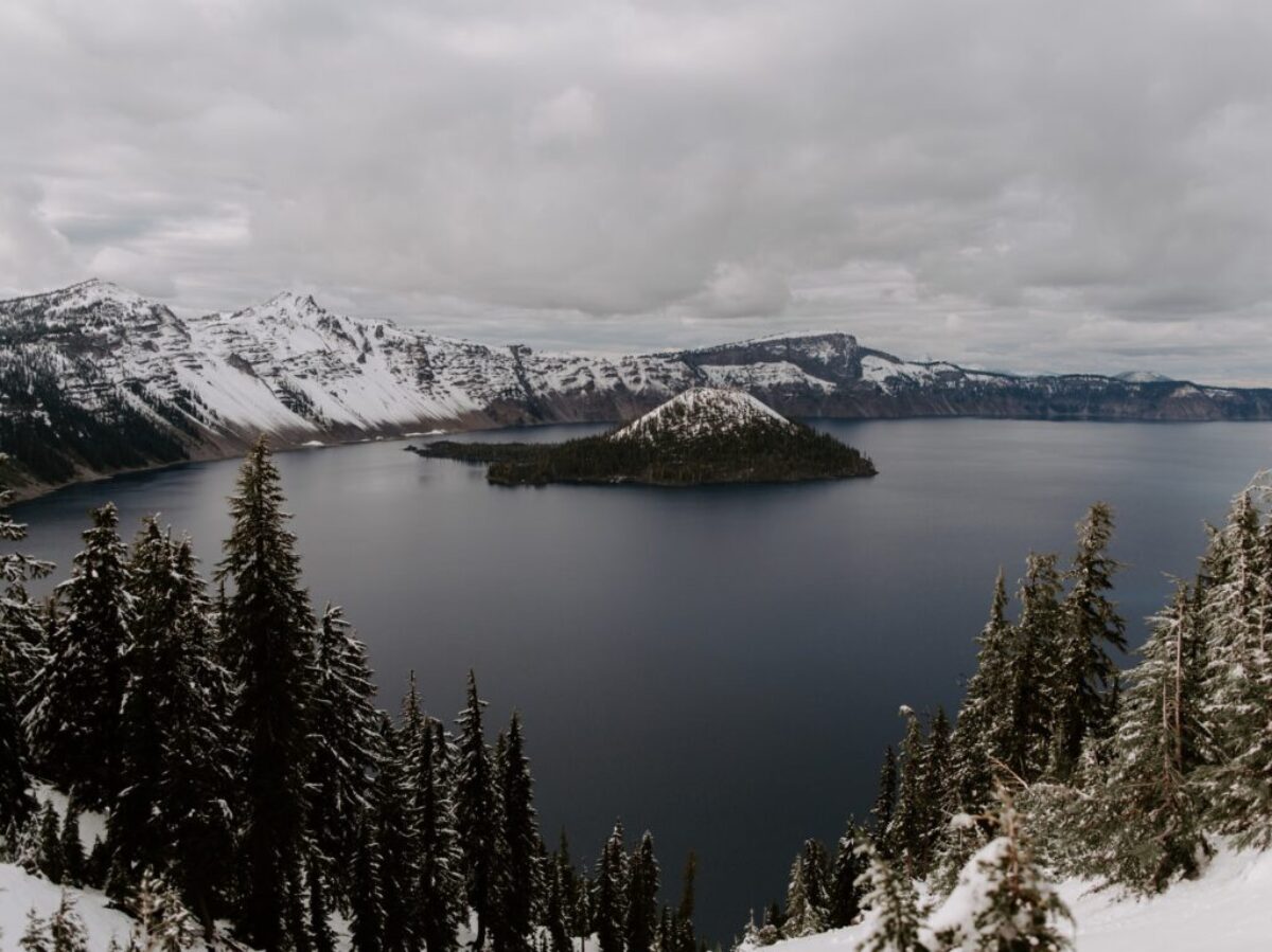 trees on snow covered mountain near body of water