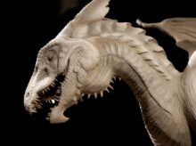 white and brown dragon head