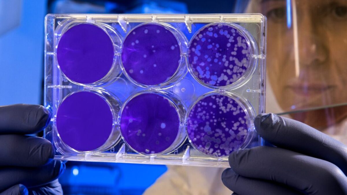 woman holding laboratory appratus