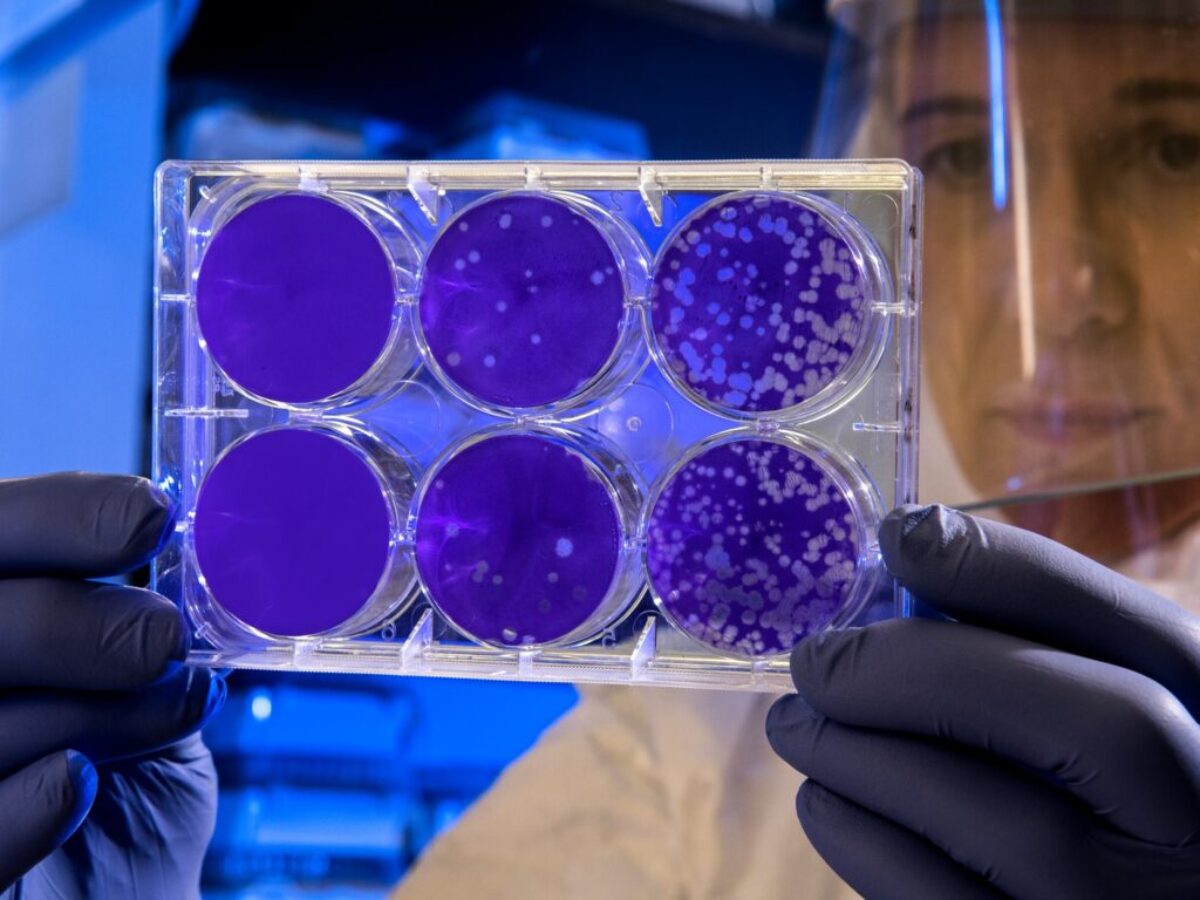 woman holding laboratory appratus