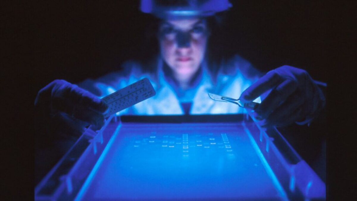 woman doing research while holding equipment