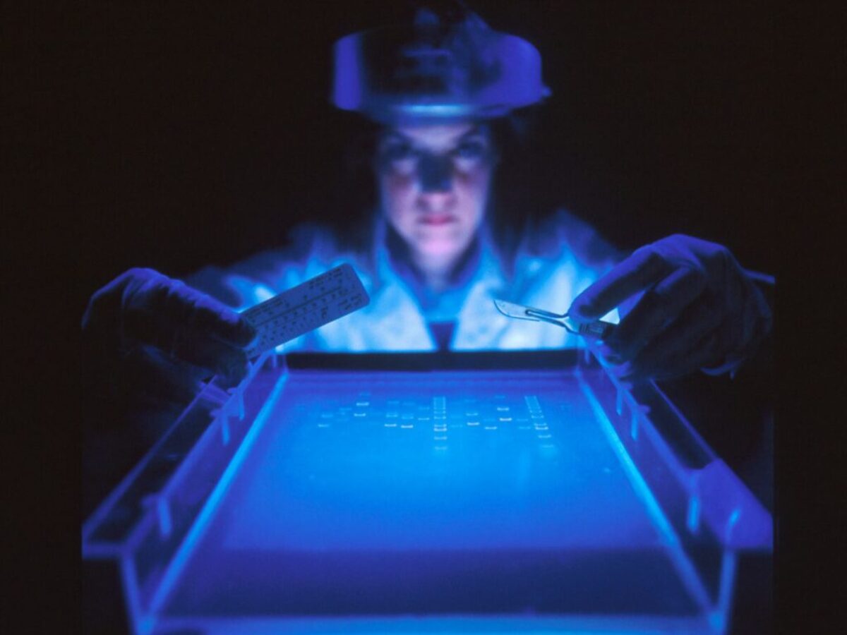 woman doing research while holding equipment