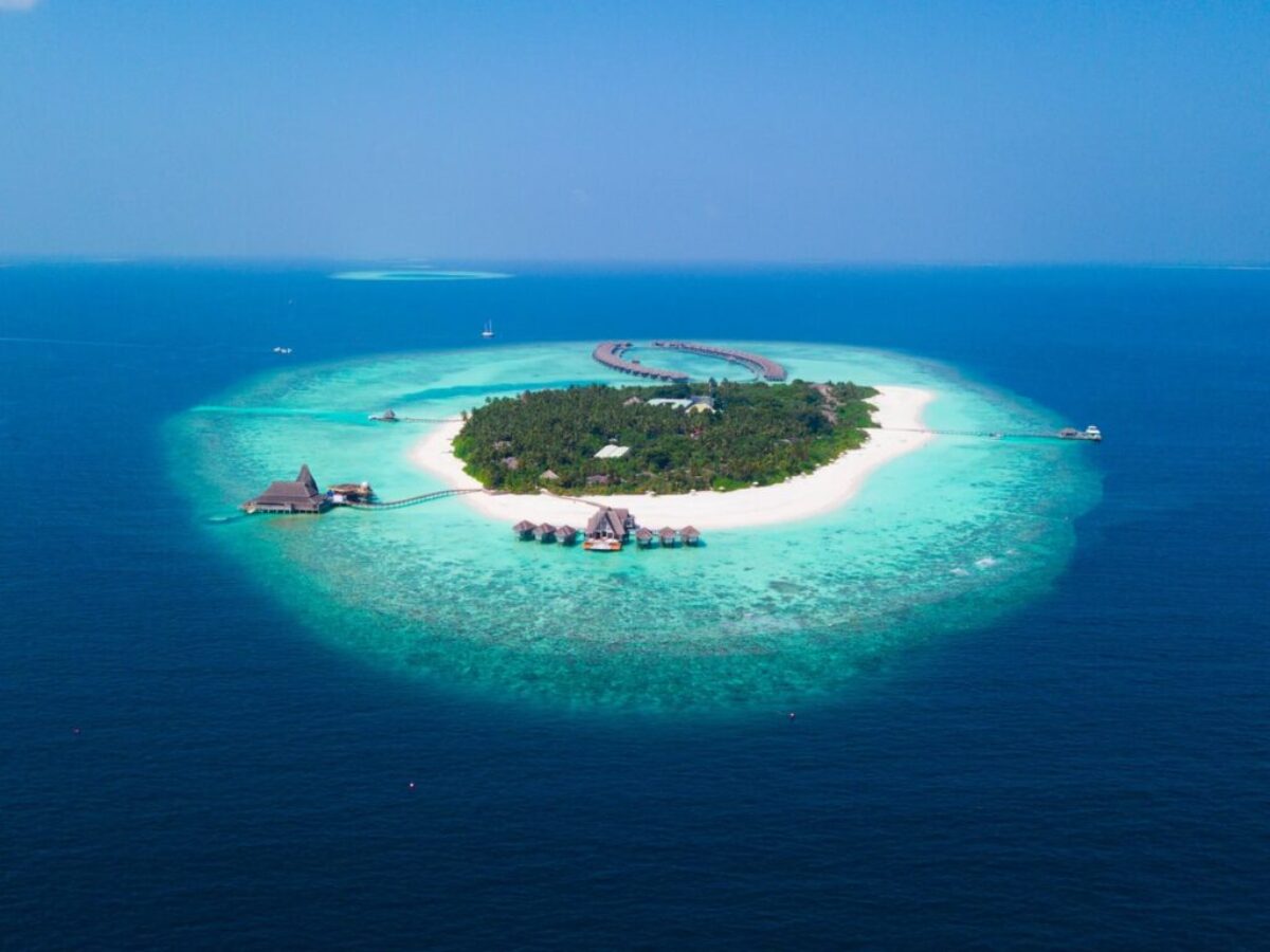 island surrounded with water with trees