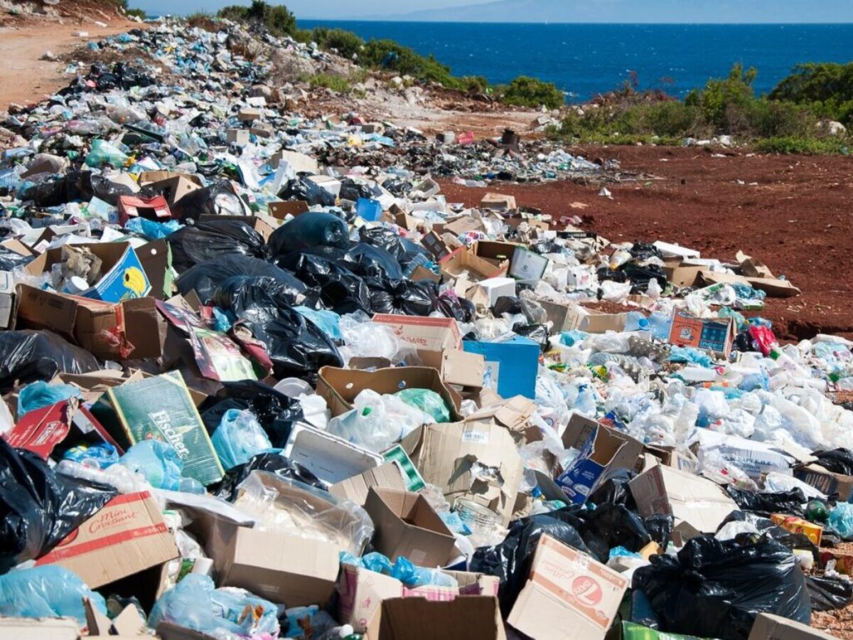 garbage near forest