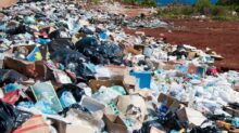 garbage near forest