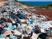 garbage near forest