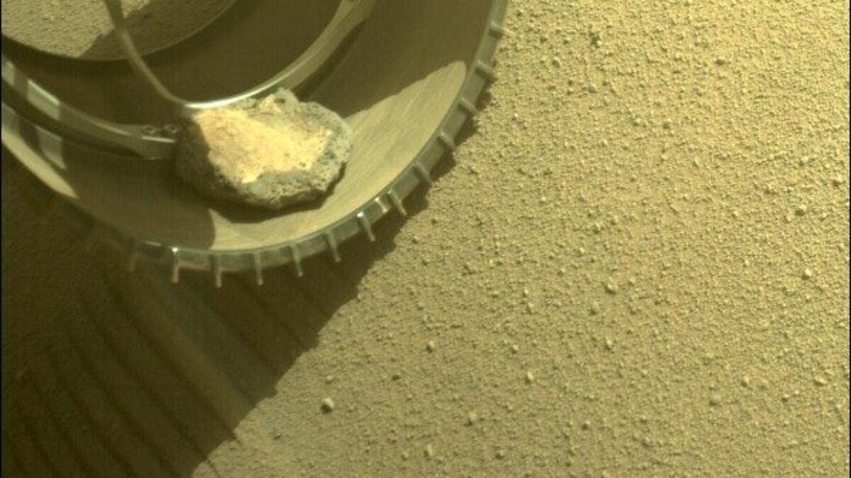Rover na Marsu má domácího mazlíčka! Jak získal takového společníka?