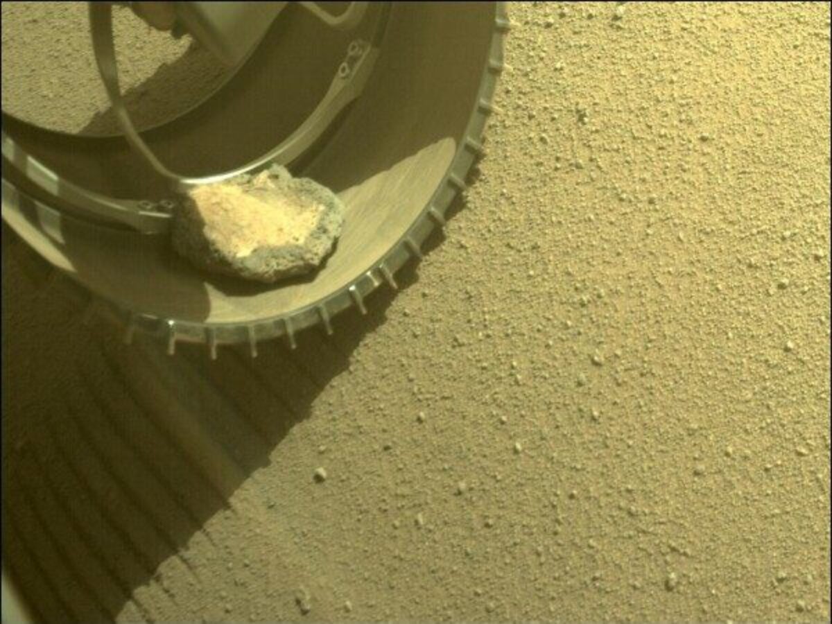 Rover na Marsu má domácího mazlíčka! Jak získal takového společníka?