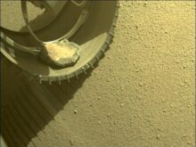 Rover na Marsu má domácího mazlíčka! Jak získal takového společníka?