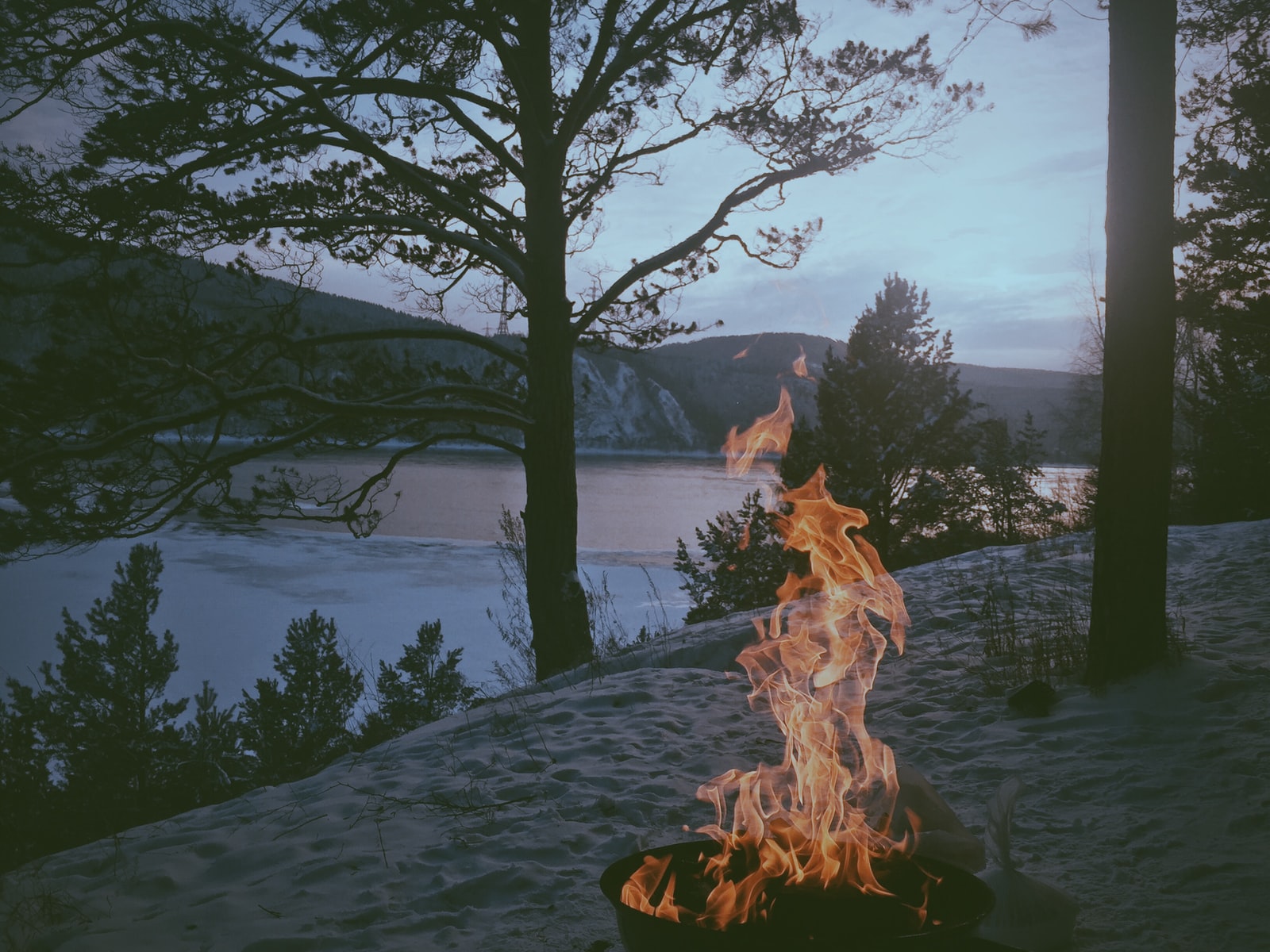 fire pit near body of water and trees