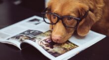 black framed eyeglasses