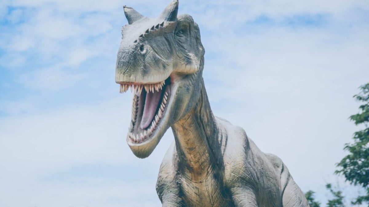 dinosaur illustration