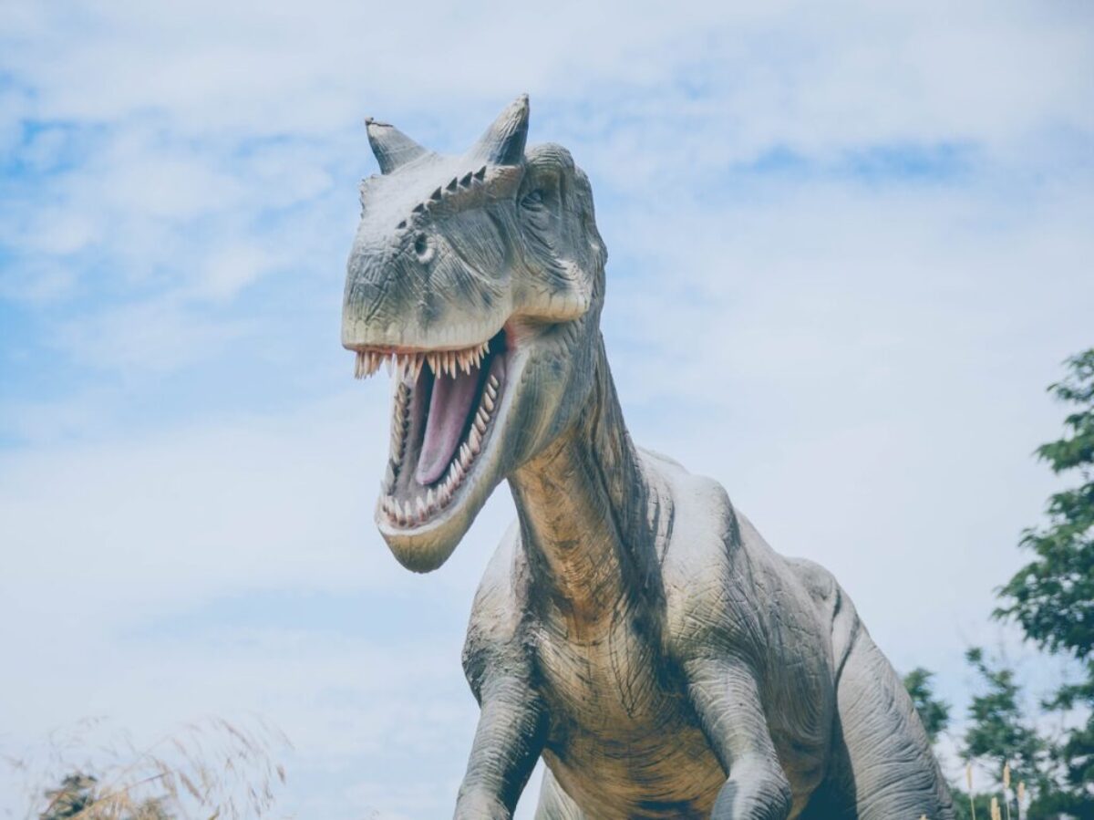 dinosaur illustration