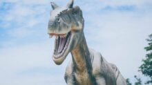 dinosaur illustration