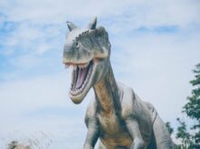 dinosaur illustration
