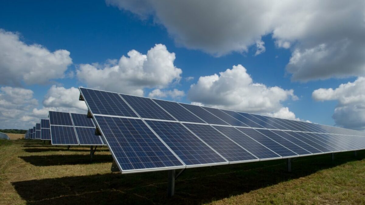 solar panels on green field