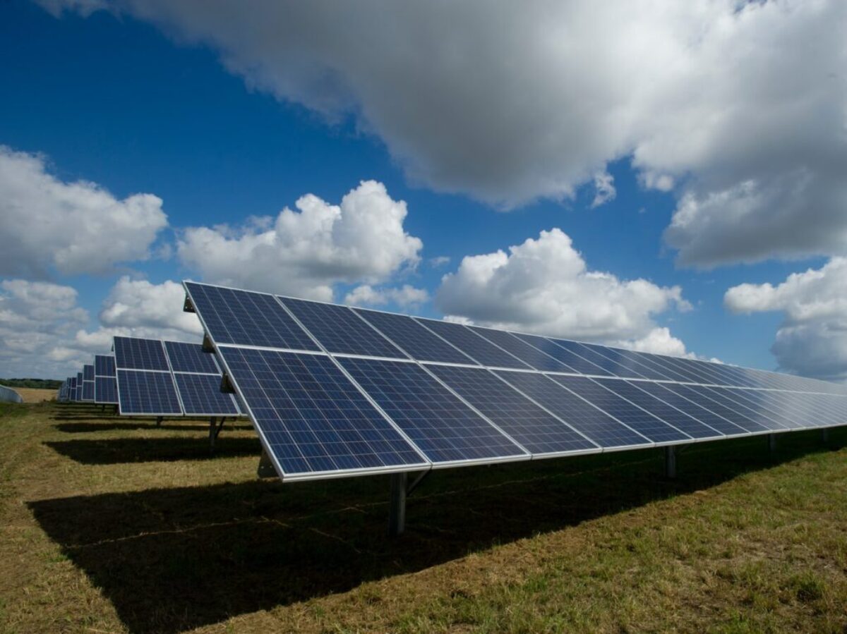 solar panels on green field
