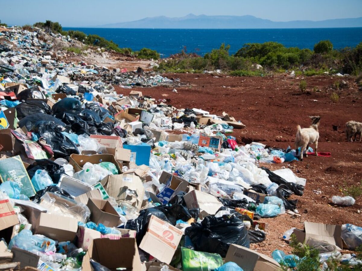 garbage near forest