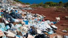 garbage near forest