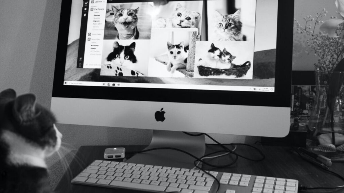 silver imac with keyboard and mouse