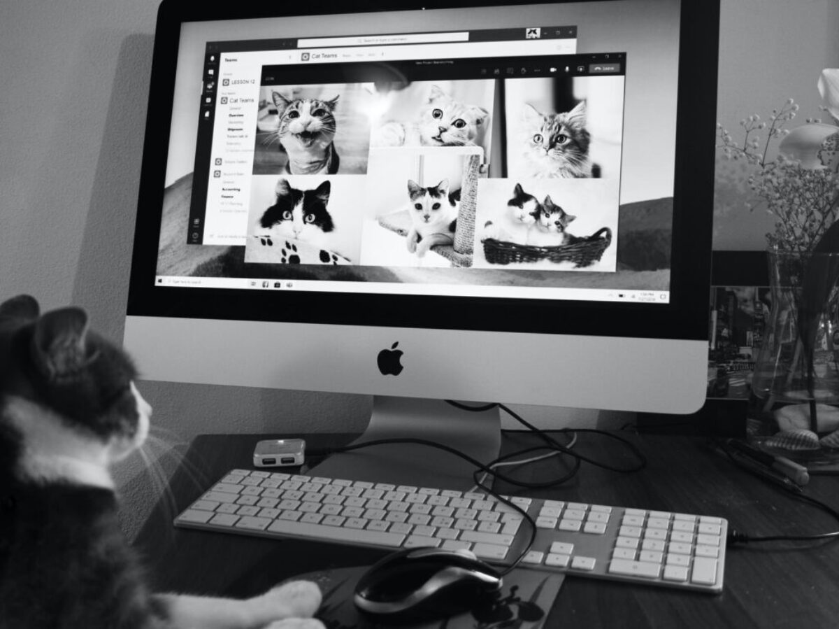 silver imac with keyboard and mouse